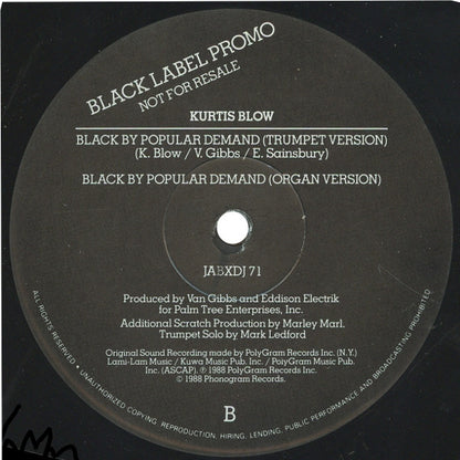 Kurtis Blow : Back By Popular Demand (12", Promo)