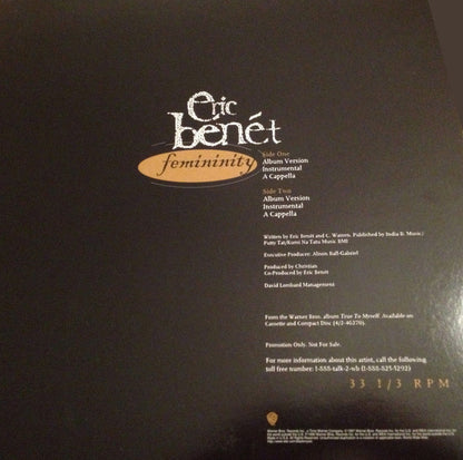 Eric Benét - Femininity (12", Promo)