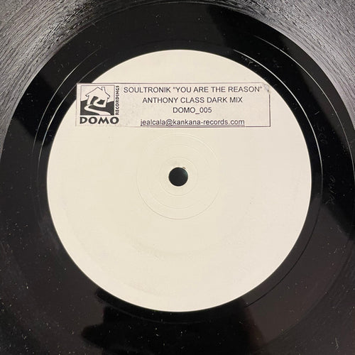 Soultronik : You Are The Reason (12", W/Lbl)