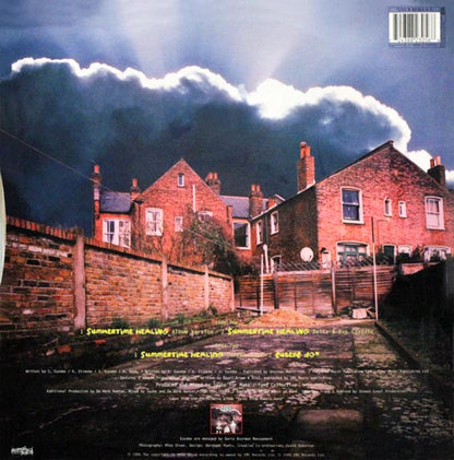 Eusebe : Summertime Healing (12")