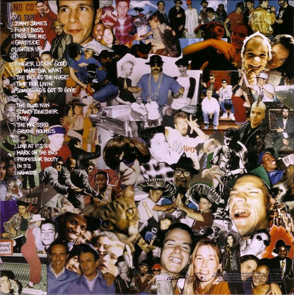Beastie Boys : Check Your Head (2xLP, Album, RE, RM, 180)