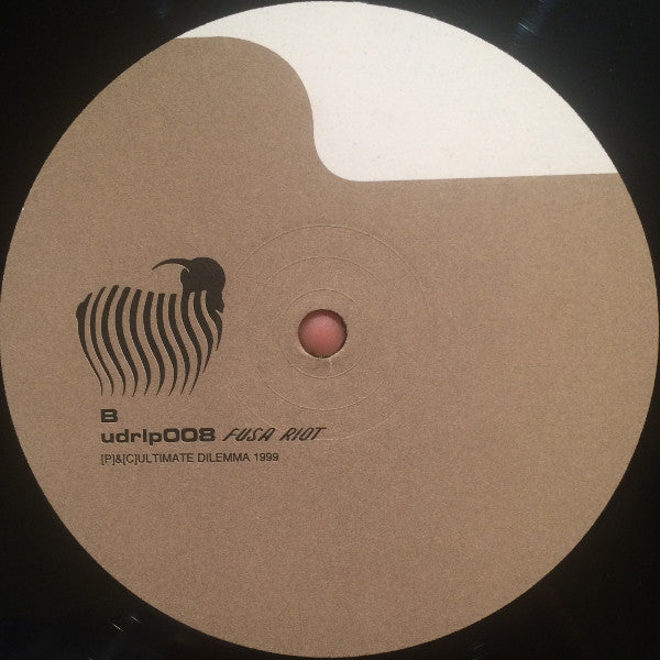 Bobby Hughes Experience : Fusa Riot (2xLP, Album)