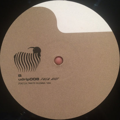Bobby Hughes Experience : Fusa Riot (2xLP, Album)