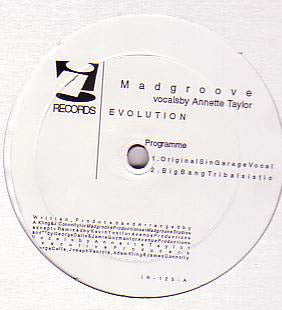Madgroove : Evolution (12", Maxi)
