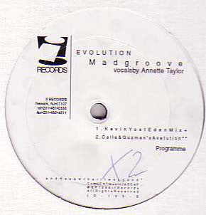 Madgroove : Evolution (12", Maxi)