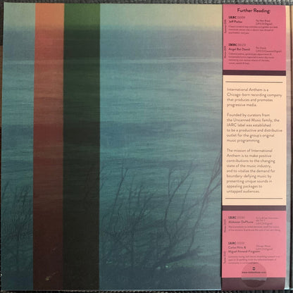 Carlos Niño & Friends : More Energy Fields, Current (LP, Album, Ltd, Ora)