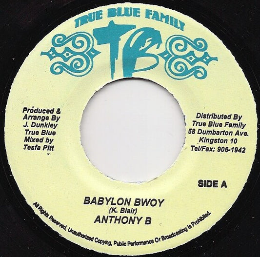 Anthony B - Babylon Bwoy (7", Single)