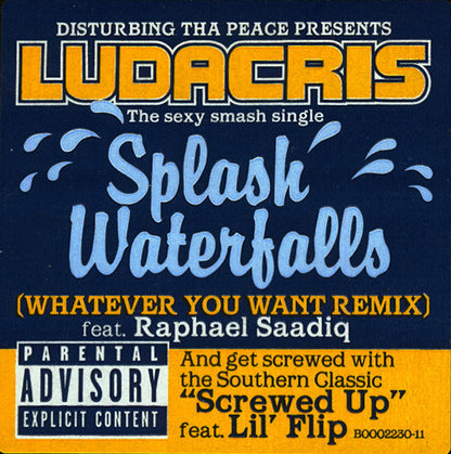 Ludacris : Splash Waterfalls (Whatever You Want Remix) / Screwed Up (12", Single)