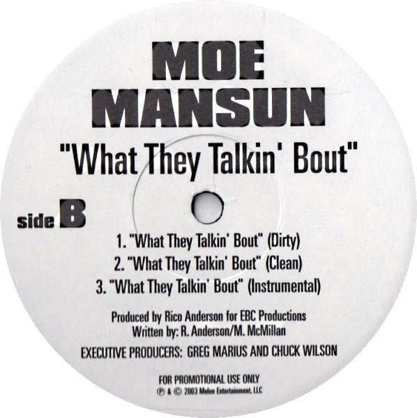 Fat Joe Featuring Remy Martin / Moe Mansun - Can't Be Serious / What They Talkin' Bout (12", Promo)