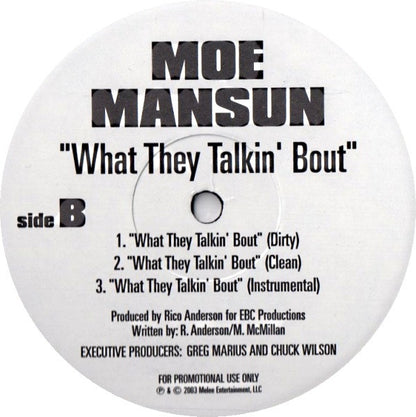 Fat Joe Featuring Remy Martin / Moe Mansun - Can't Be Serious / What They Talkin' Bout (12", Promo)