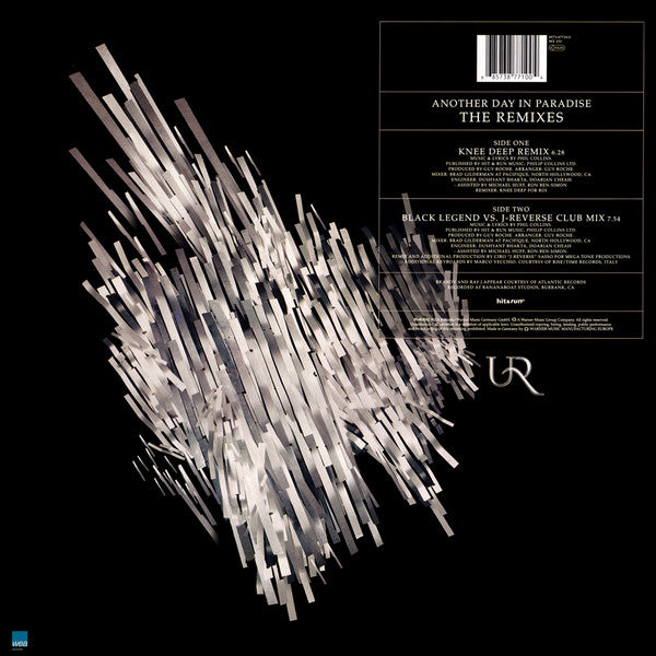 Brandy And Ray J - Another Day In Paradise (The Remixes) (12")