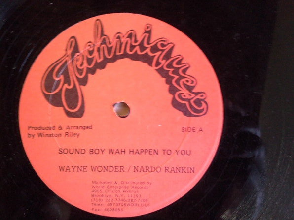 Wayne Wonder & Nardo Rankin* : Sound Boy Wah Happen To You (12")