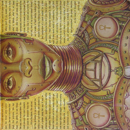 Erykah Badu : New Amerykah Part Two: Return Of The Ankh (2xLP, Album, Gat)
