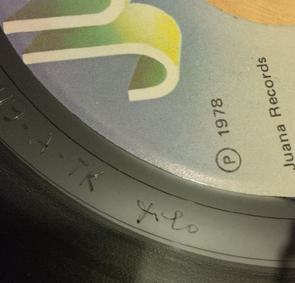 The Controllers (2) : If Somebody Cares (7", Single)