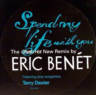 Eric Benét Featuring Terry Dexter - Spend My Life With You (12", Promo)