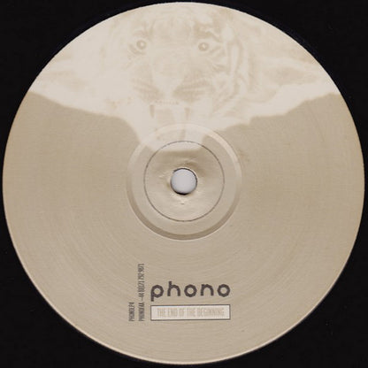 Various : The End Of The Beginning (2xLP, Album)