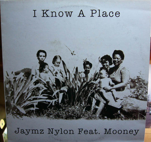 Jaymz Nylon Feat. Mooney : I Know A Place (12")