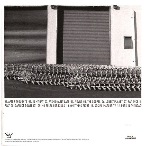 Oddisee - The Beauty In All (LP, Album, RE, Roy)