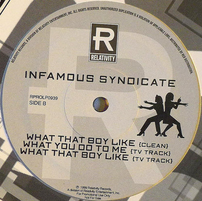 Infamous Syndicate - Hold It Down b/w What You Do To Me & What That Boy Like (12", Single, Promo)