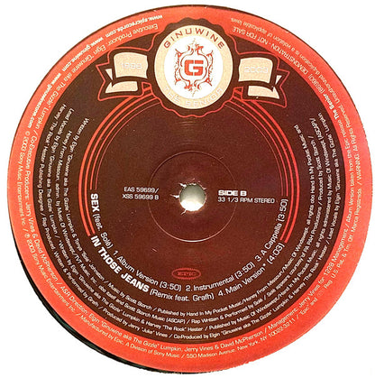 Ginuwine - Love You More (12", Promo)