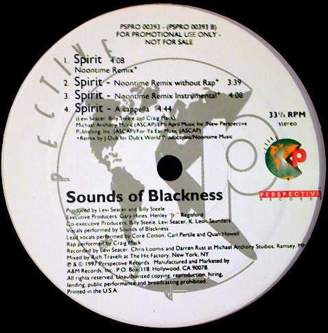 Sounds Of Blackness : Spirit (12", Promo)