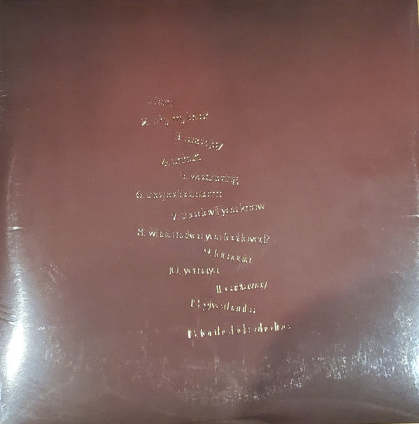 Aja Monet : When The Poems Do What They Do (2xLP, Album)