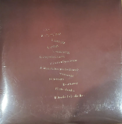 Aja Monet : When The Poems Do What They Do (2xLP, Album)