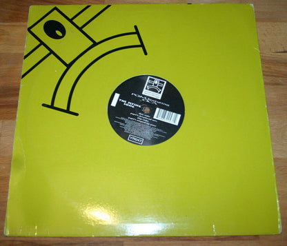 PQM* Featuring Cica - The Flying Song (12")