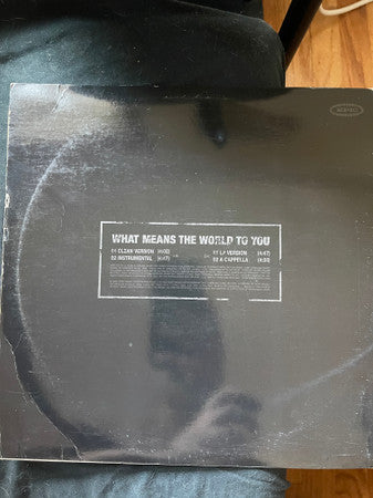 Cam'ron - What Means The World To You (12", Promo)