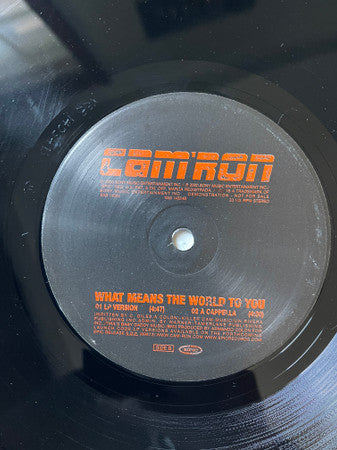 Cam'ron - What Means The World To You (12", Promo)