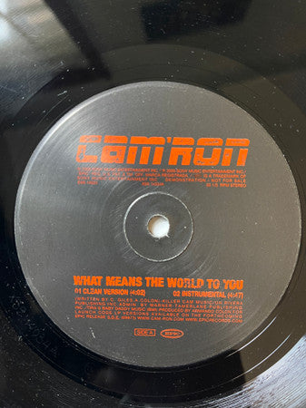 Cam'ron - What Means The World To You (12", Promo)