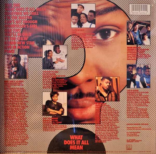 Various : Greg Mack Compilation - What Does It All Mean? (LP, Comp)