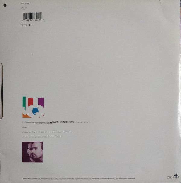 The James Taylor Quartet Featuring McKoy* : Love The Life (12", Single)