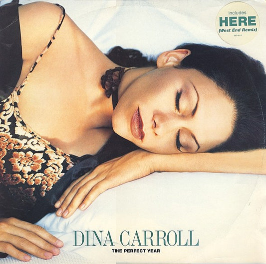 Dina Carroll : The Perfect Year (12", Single)