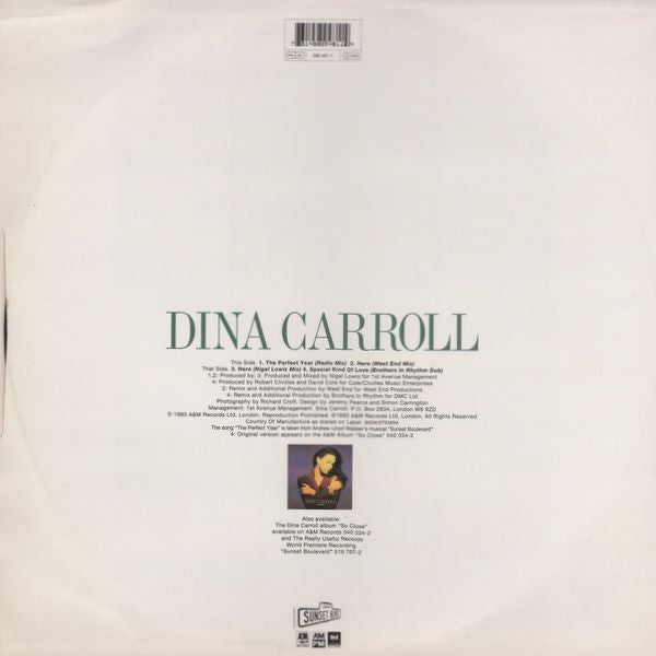 Dina Carroll : The Perfect Year (12", Single)