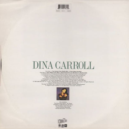 Dina Carroll : The Perfect Year (12", Single)