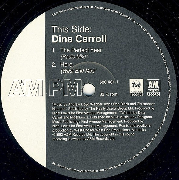 Dina Carroll : The Perfect Year (12", Single)