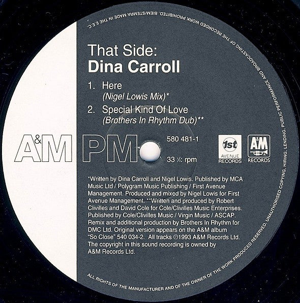 Dina Carroll : The Perfect Year (12", Single)