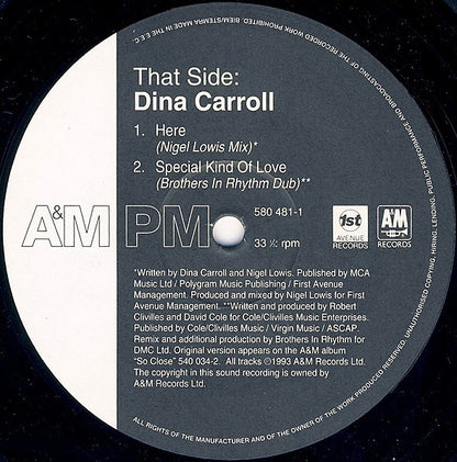 Dina Carroll : The Perfect Year (12", Single)