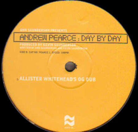 Ann Saunderson Presents Andrew Pearce - Day By Day (2x12", Ltd)