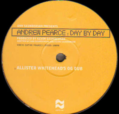 Ann Saunderson Presents Andrew Pearce - Day By Day (2x12", Ltd)