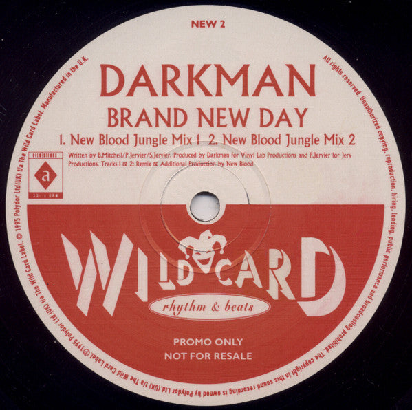 Darkman : Brand New Day (The Jungle Mixes) (12", Promo)