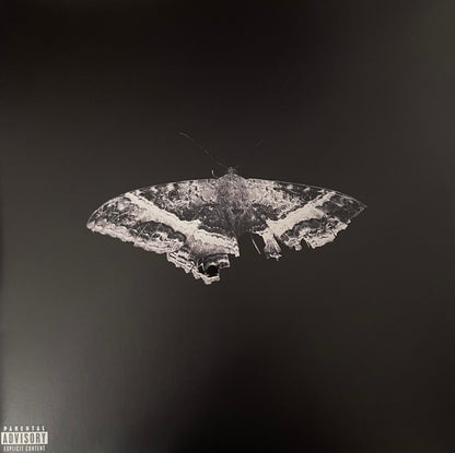 Kendrick Lamar - To Pimp A Butterfly (2xLP, Ltd, Met)