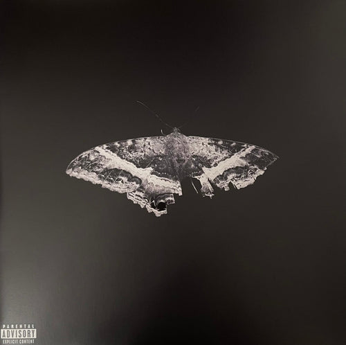 Kendrick Lamar - To Pimp A Butterfly (2xLP, Ltd, Met)