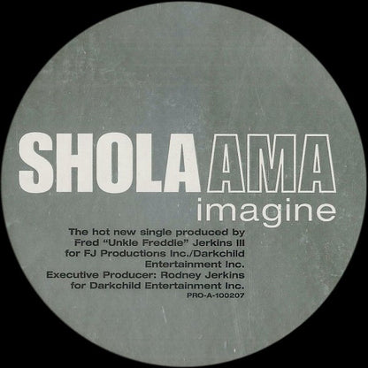 Shola Ama : Imagine (12", Promo)