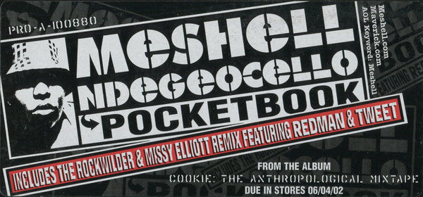 Me'Shell NdegéOcello : Pocketbook (12", Promo)
