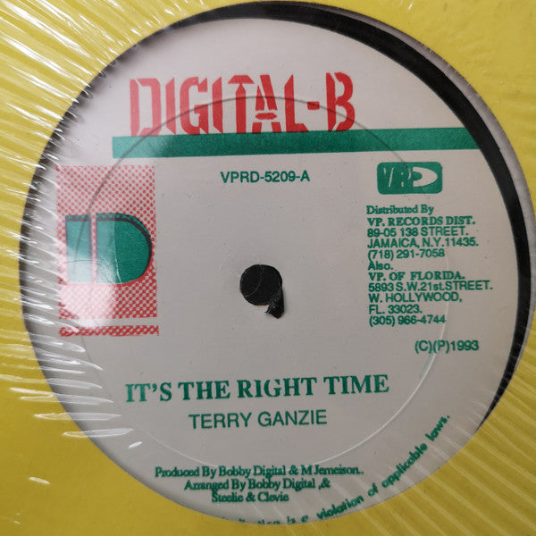 Wayne Wonder / Terry Ganzie : Sometimes Love (Remix) / It's The Right Time (12")