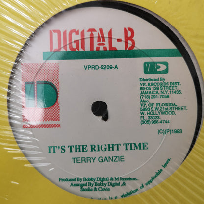 Wayne Wonder / Terry Ganzie : Sometimes Love (Remix) / It's The Right Time (12")