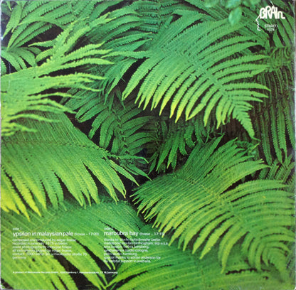 Edgar Froese : Ypsilon In Malaysian Pale (LP, Album)