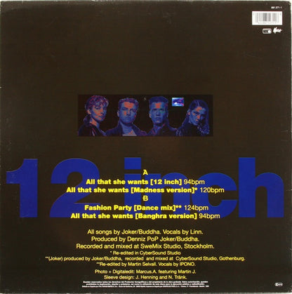 Ace Of Base : All That She Wants (12", Single)